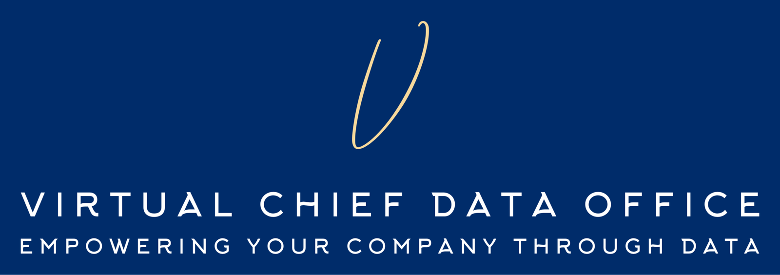 Virtual Chief Data Office